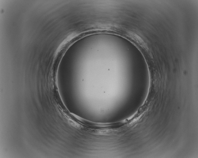 X0000067481172200604071131