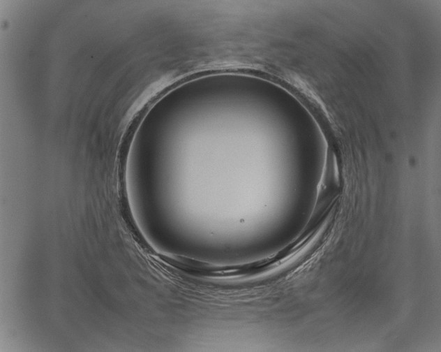 X0000067481173200604071131