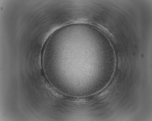 X0000067481174200604071131