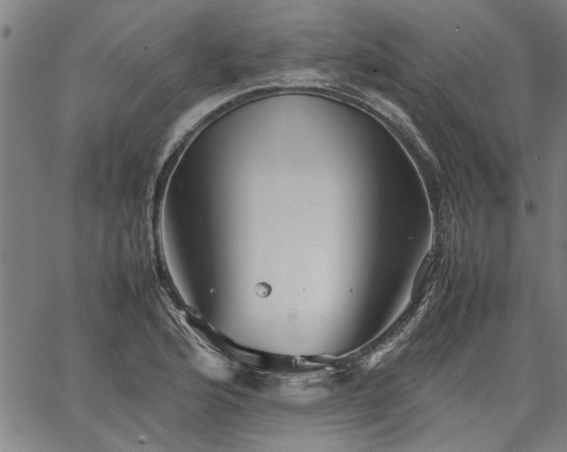 X0000067481176200604071131