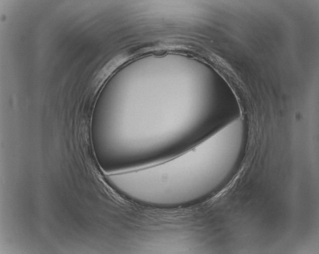 X0000067481177200604071131