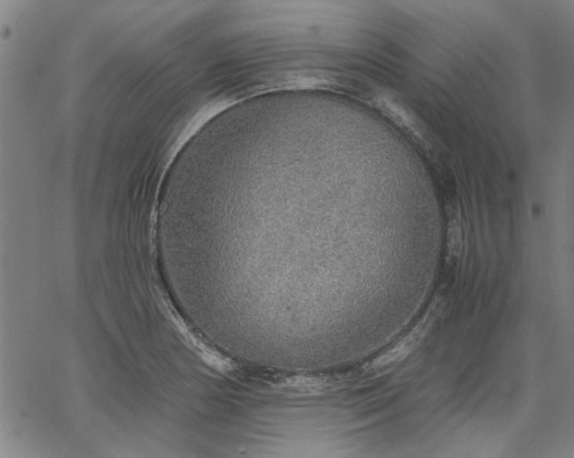 X0000067481178200604071131