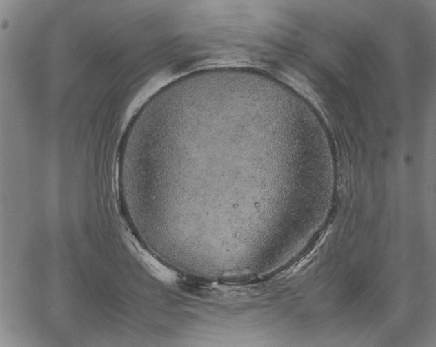 X0000067481179200604071131