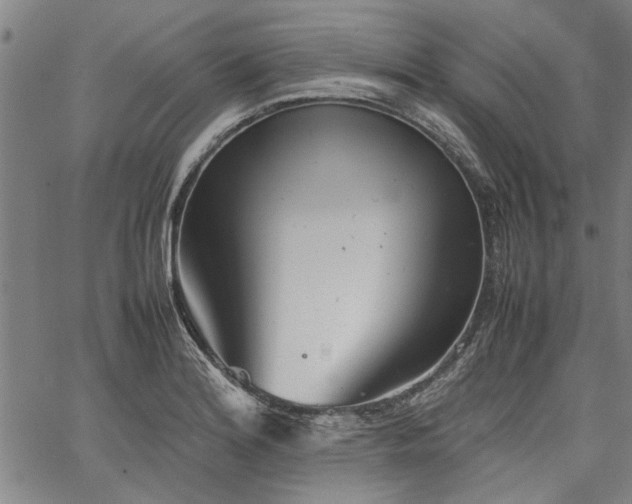 X0000067481180200604071131