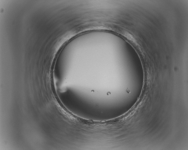 X0000067481181200604071131