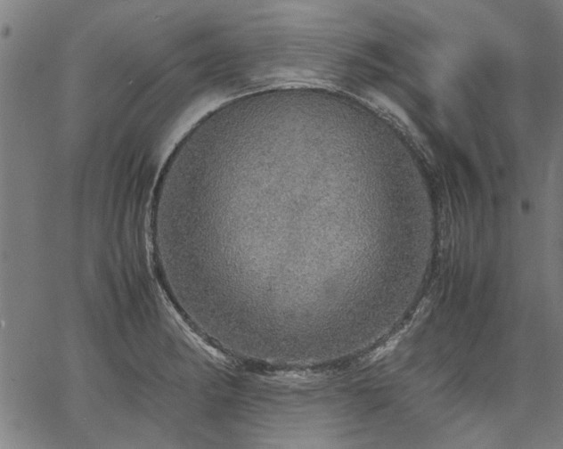 X0000067481182200604071131