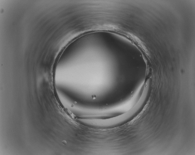 X0000067481184200604071131