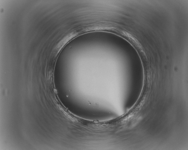 X0000067481185200604071131