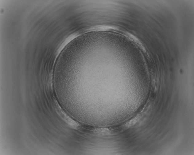 X0000067481186200604071131