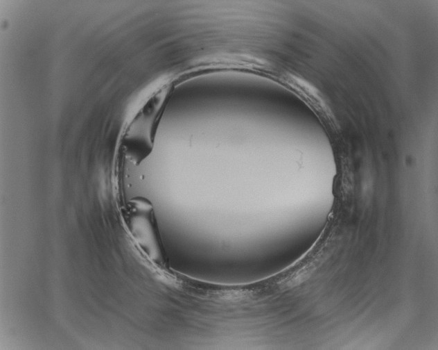 X0000067481188200604071131