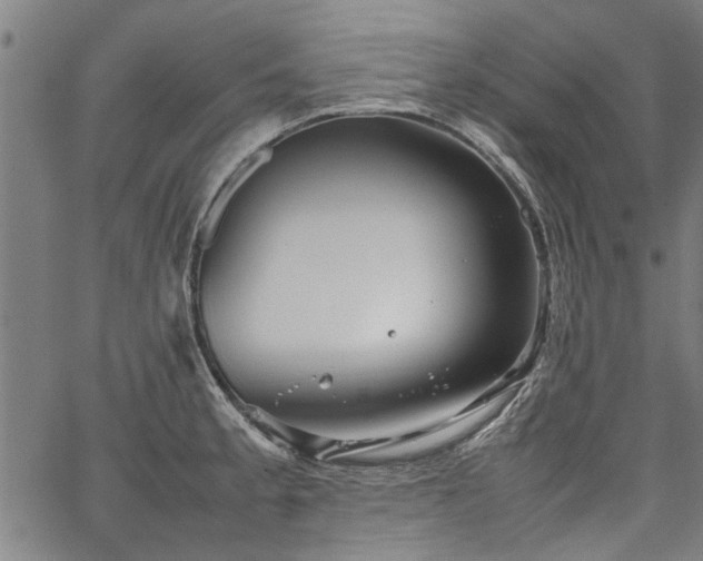 X0000067481189200604071131