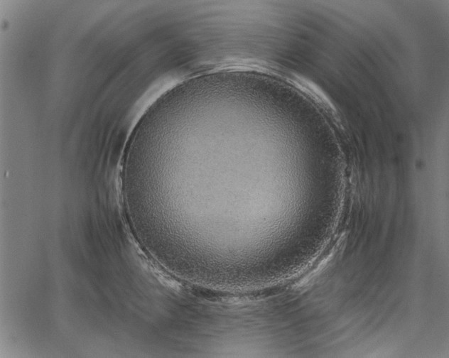 X0000067481190200604071131