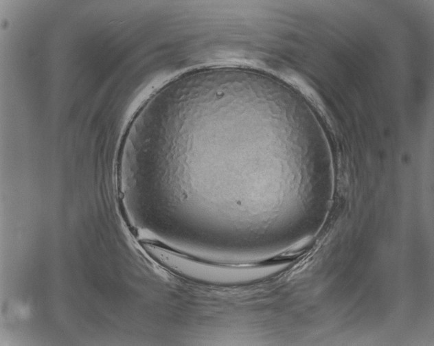 X0000067481191200604071131