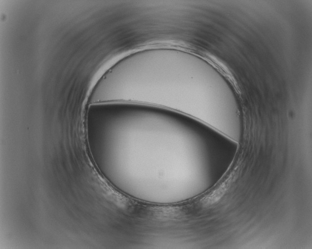 X0000067481192200604071131