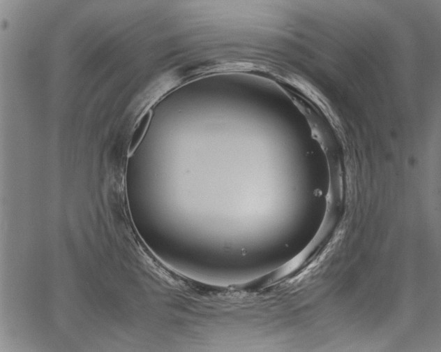 X0000067481193200604071131