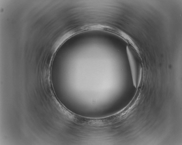 X0000067481194200604071131