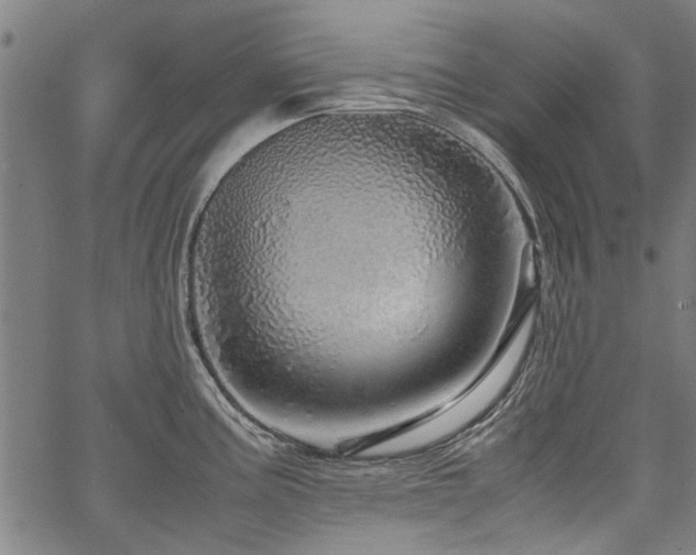 X0000067481195200604071131