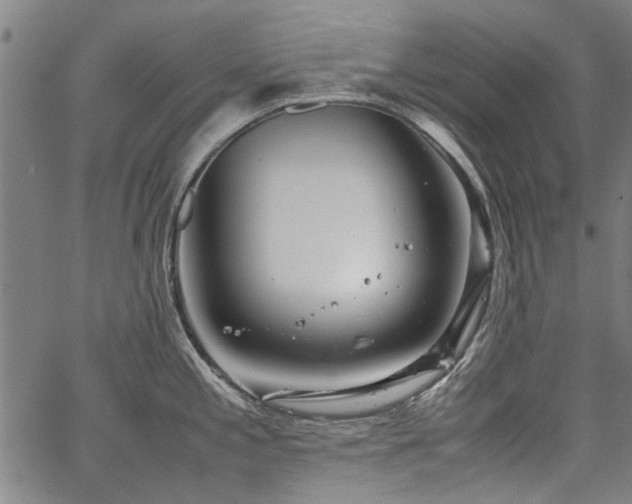 X0000067481197200604071131