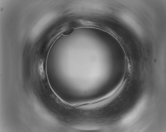 X0000067481198200604071131