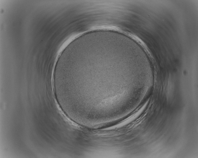 X0000067481199200604071131