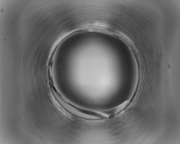 X0000067481200200604071131