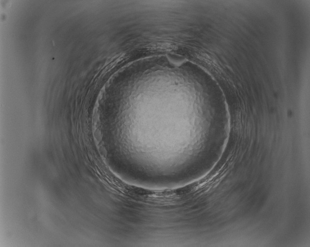 X0000067481201200604071130