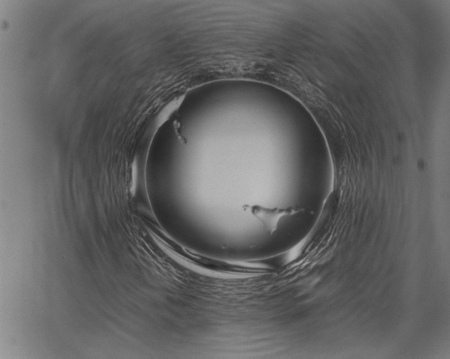 X0000067481202200604071130