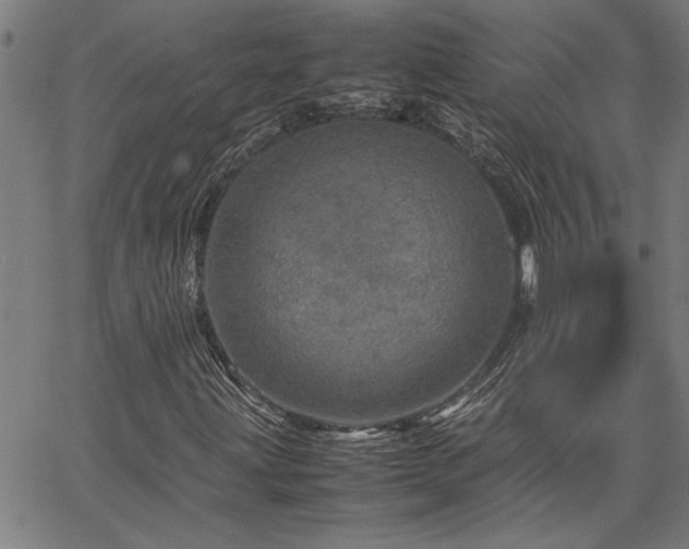 X0000067481203200604071130