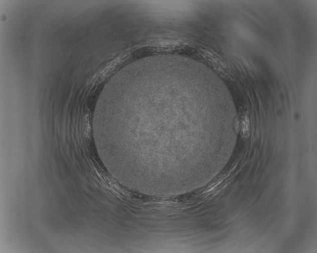 X0000067481204200604071130