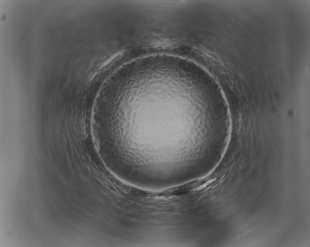 X0000067481205200604071130