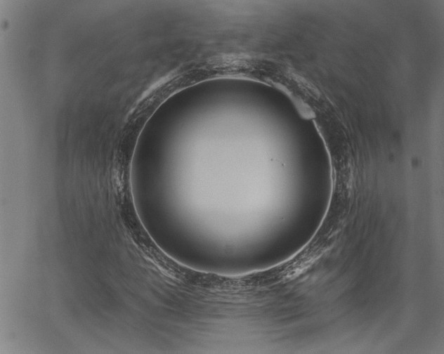 X0000067481206200604071130