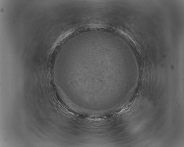 X0000067481207200604071130