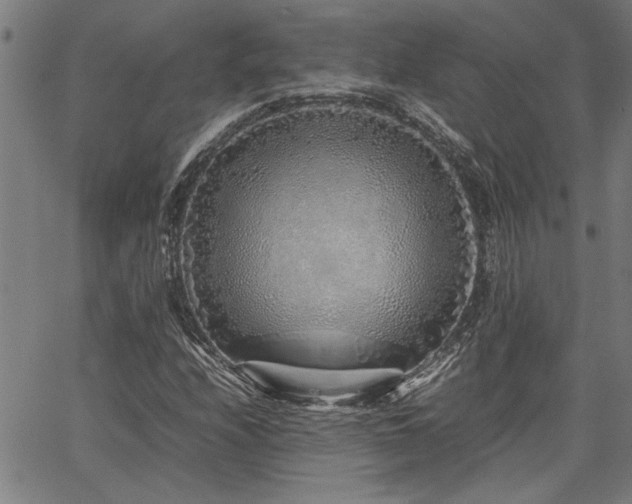 X0000067481208200604071130