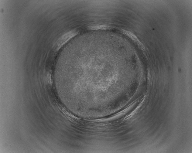 X0000067481209200604071130