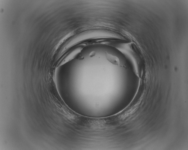 X0000067481210200604071130