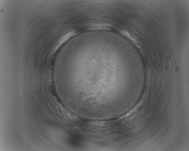 X0000067481211200604071130