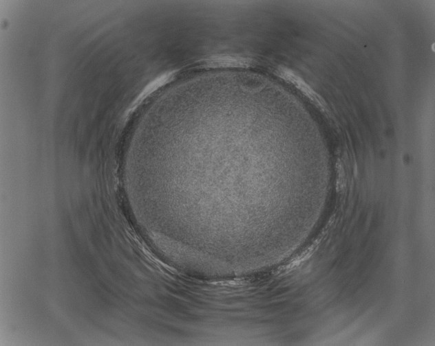 X0000067481213200604071130