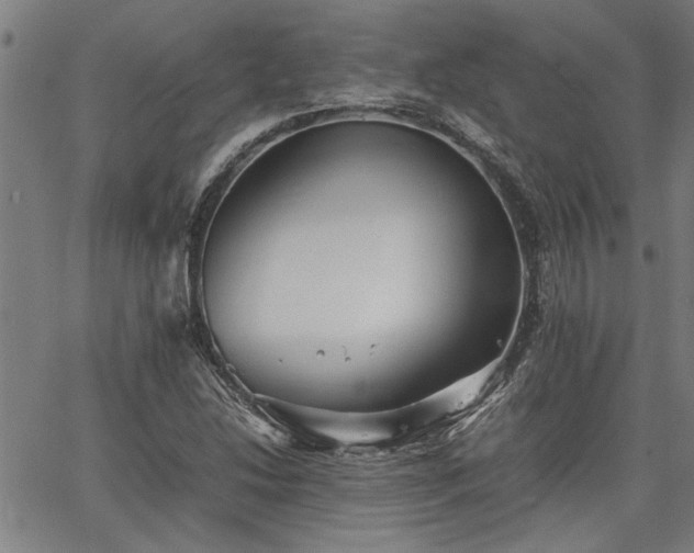 X0000067481214200604071130