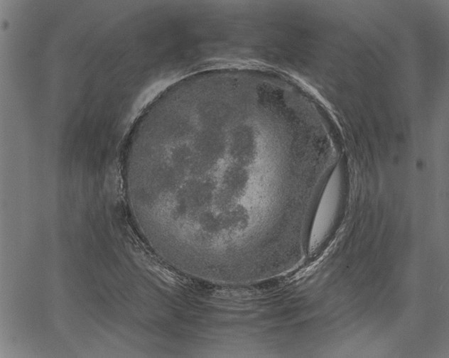 X0000067481215200604071130