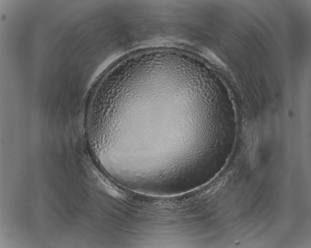 X0000067481216200604071130