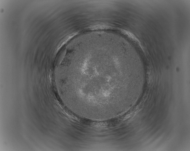 X0000067481217200604071130