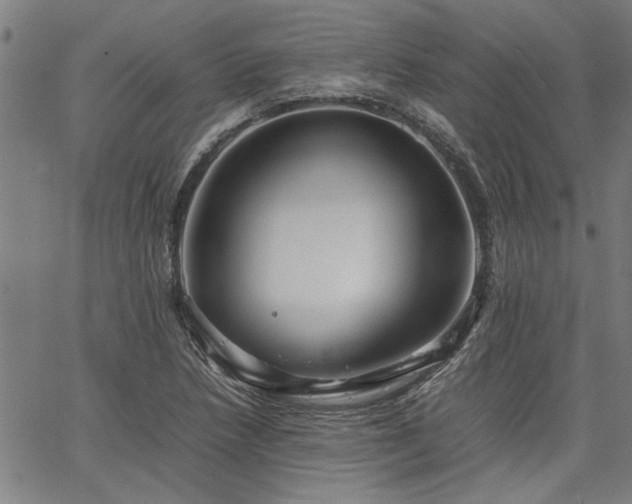 X0000067481218200604071130