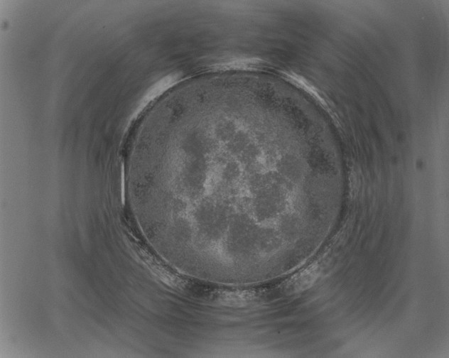 X0000067481219200604071130