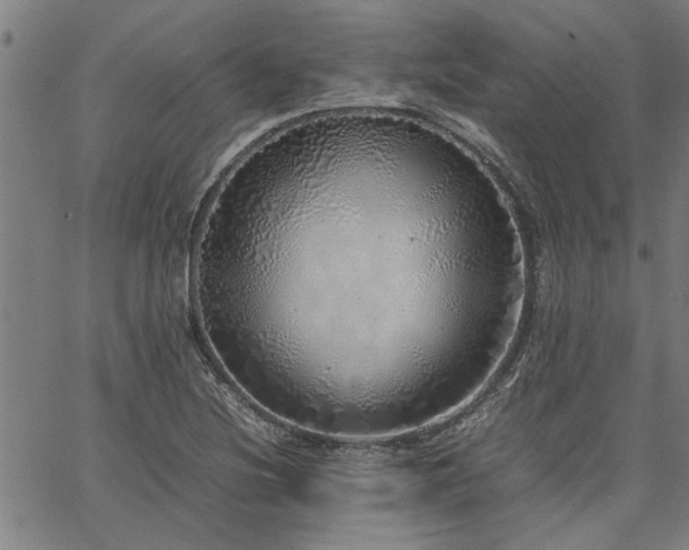 X0000067481220200604071130