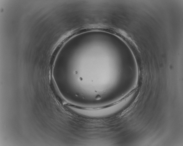 X0000067481221200604071130