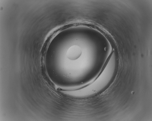 X0000067481222200604071130