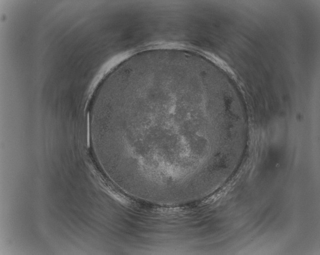 X0000067481223200604071130