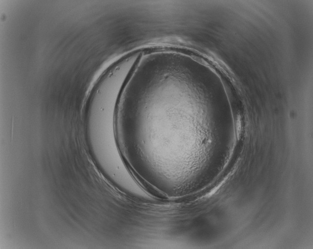 X0000067481224200604071130