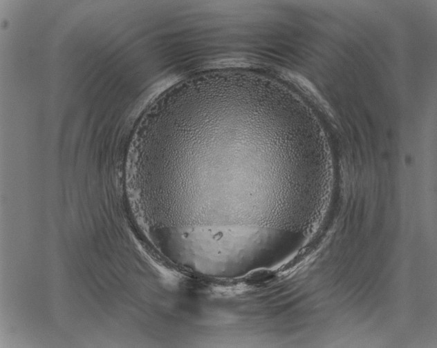 X0000067481225200604071130