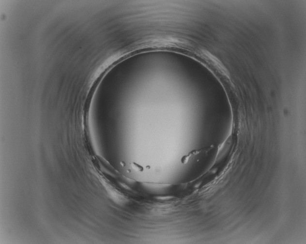 X0000067481226200604071130